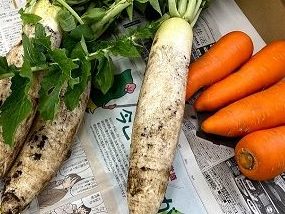 自家製無農薬な野菜たち✨ アイチャッチ